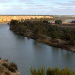 Murray River Cruises