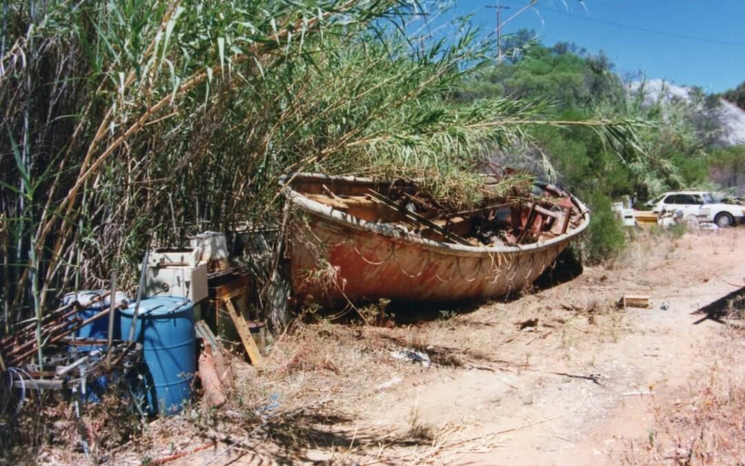 10 Years on the Murray: The Story Behind Rivergum Cruises