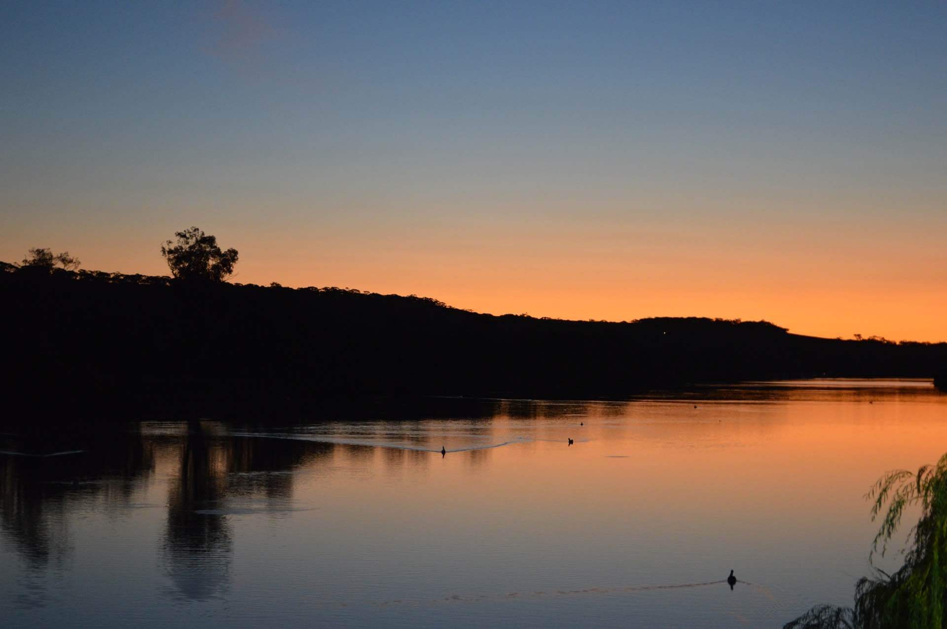 Home Top Things To Do In The Riverland South Australia - Home