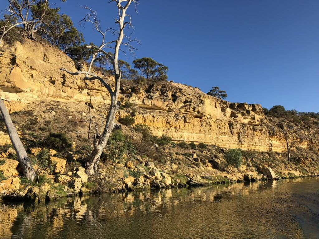 IMG 0144 1024x768 - 5 Things You Might Not Know About Rivergum Cruises as a South Australian Experience