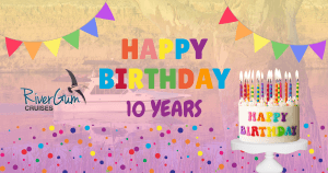 Rivergum Birthday Campaign Facebook Post 300x158 - Home