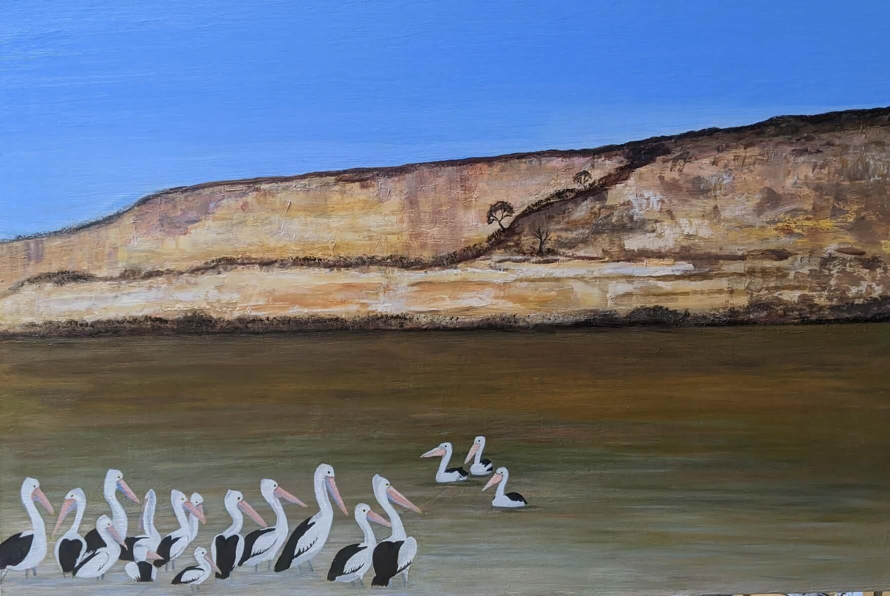 Home pelicans opposite the clif - Home